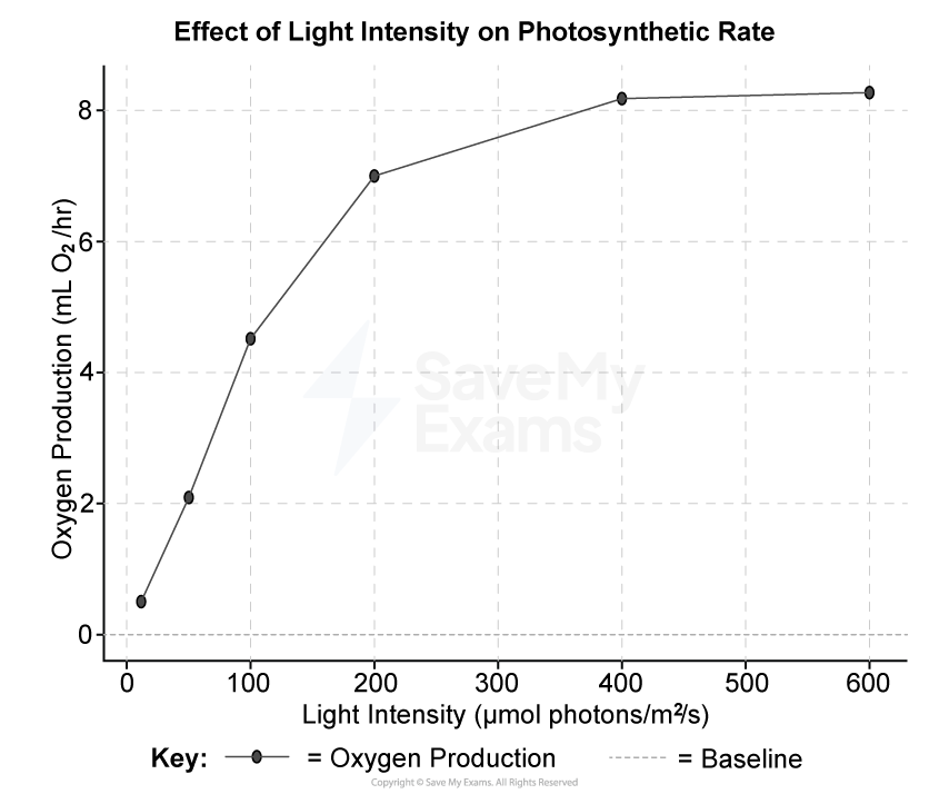 Graph showing the effect of light intensity on photosynthetic rate. Oxygen production increases with light intensity up to 300 μmol/m²/s, then plateaus.