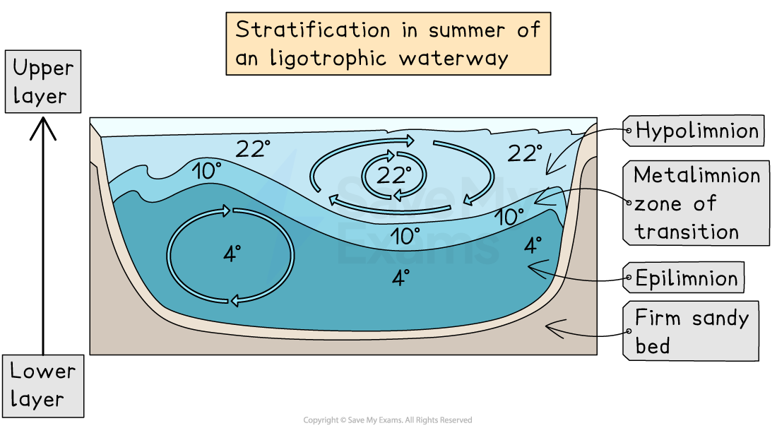Diagram of summer stratification in an oligotrophic waterway with marked layers: epilimnion at 22°C, metalimnion at 10°C, hypolimnion at 4°C.
