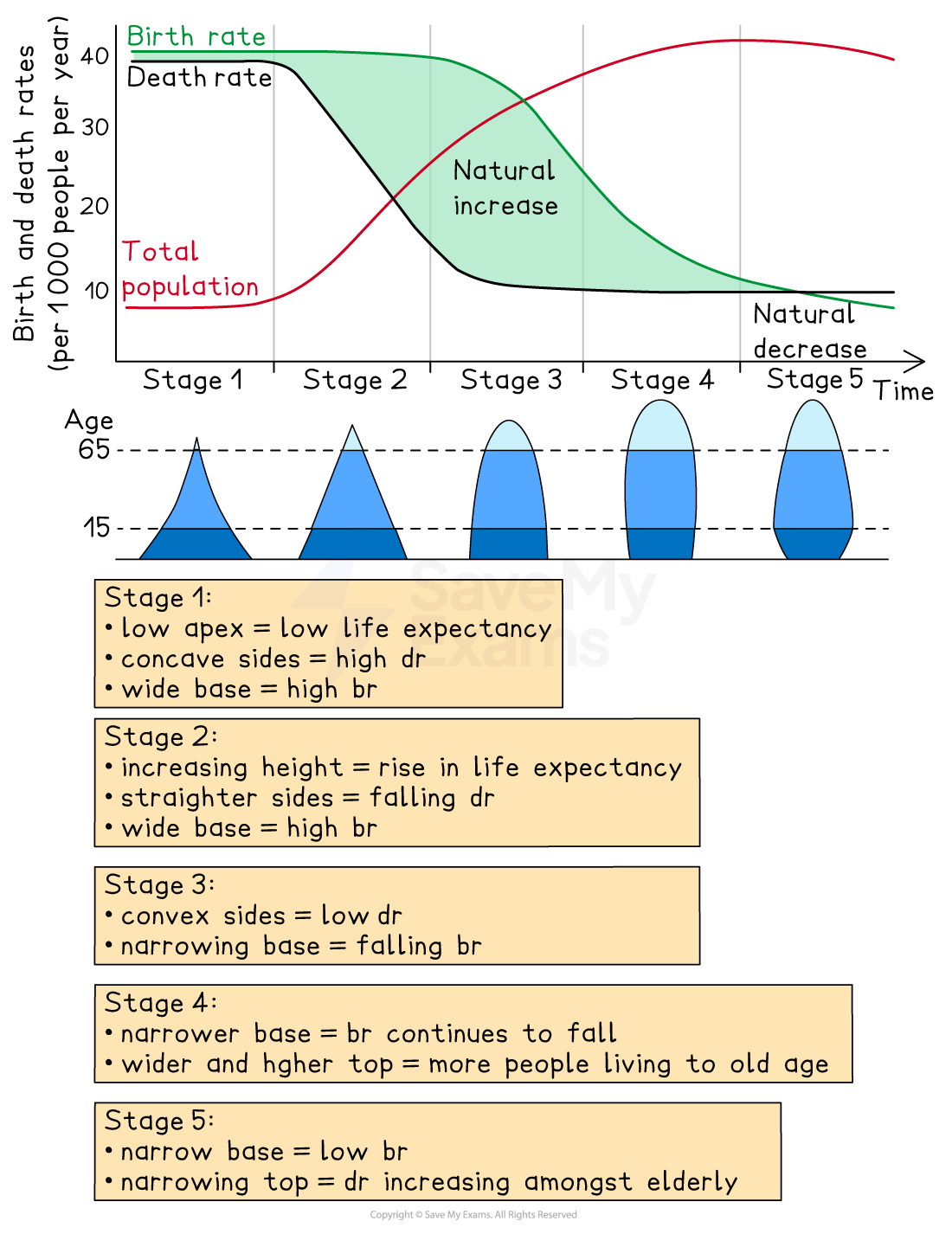 Demographic Transition Model AP Environmental Science Demographic Transition Model AP Environmental Science