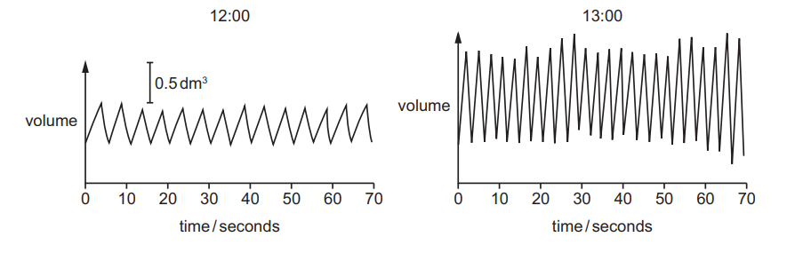 Two line graphs show volume changes over 70 seconds at 12:00 and 13:00; first graph peaks at 0.5 dm³, while the second has higher fluctuations.