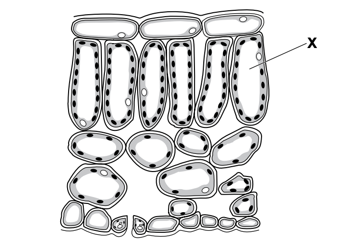 6-1-image-eq6