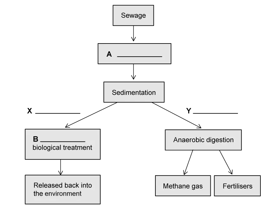 Flowchart of sewage treatment: Sewage flows to A, then sedimentation splits to X and Y. X leads to B biological treatment, then release; Y to anaerobic digestion, producing methane and fertilisers.