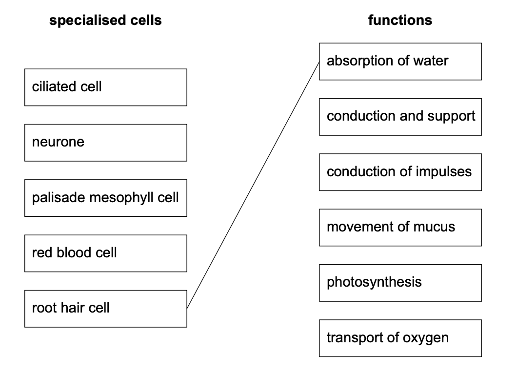 2-1-image-theory-eq7