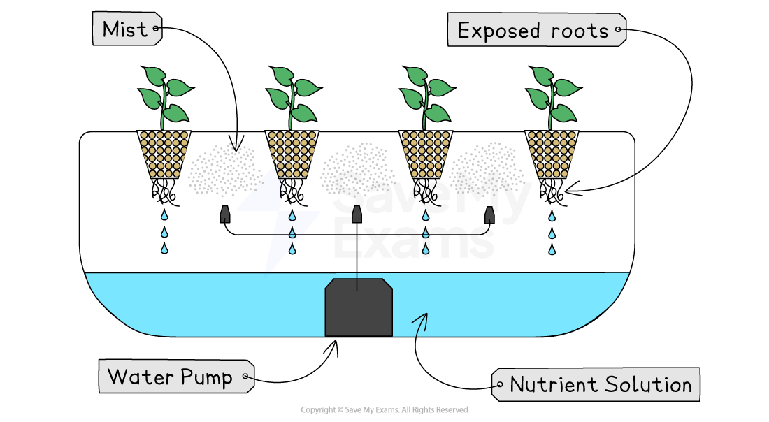 Diagram of an aeroponic system showing plants in net pots, misting exposed roots with a nutrient solution from a water pump below.