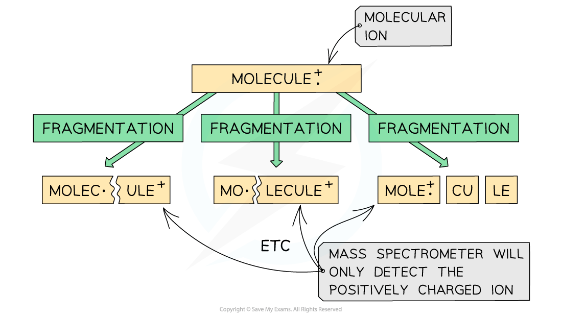 Diagram showing molecular ion fragmentation into parts. Mass spectrometer detects only the positively charged ion from fragmented molecules.
