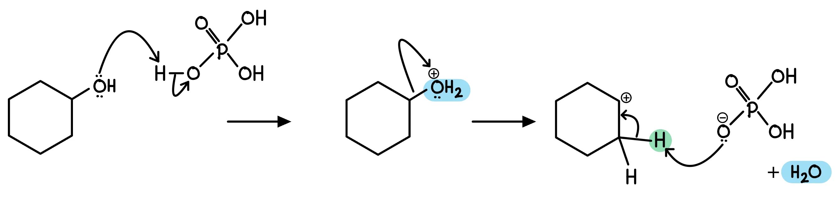 Cyclohexanol reacts with phosphoric acid, forming cyclohexene and water, shown in a stepwise chemical mechanism with arrows indicating electron movement.