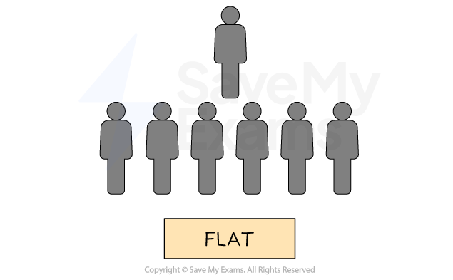 Diagram of a flat organisational structure showing one person above seven others, indicating minimal hierarchy; labelled “FLAT” below.