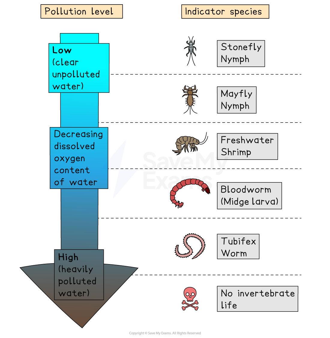Diagram showing pollution levels with corresponding indicator species: stonefly and mayfly nymphs, freshwater shrimp, bloodworm, tubifex worm, no invertebrate life.