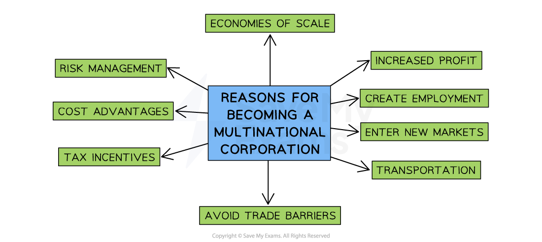 Flowchart illustrating reasons for becoming a multinational corporation, including profit, employment, markets, trade barriers, tax, cost, risk, and scale.
