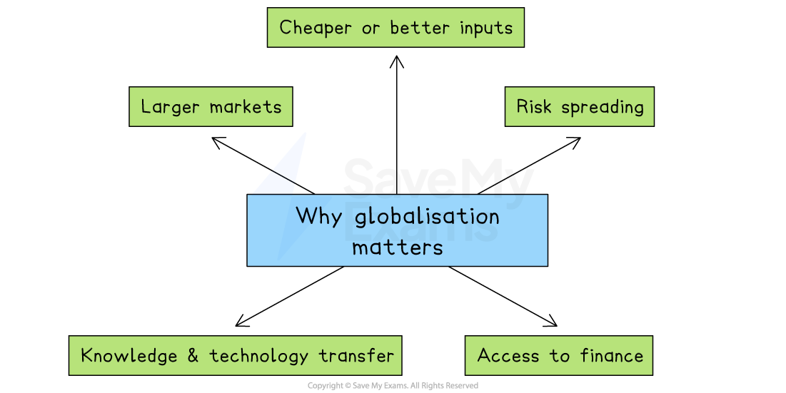 Flowchart titled "Why globalisation matters" with benefits: cheaper inputs, risk spreading, access to finance, knowledge transfer, and larger markets.