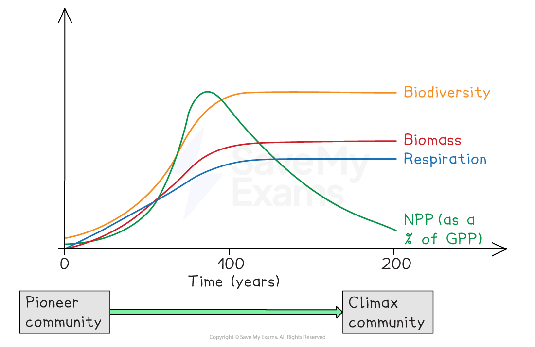 Graph showing changes in biodiversity, biomass, respiration, and NPP over 200 years, transitioning from pioneer to climax community.