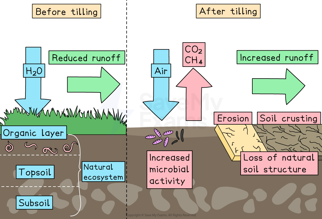 Comparison of soil states before and after tilling, showing water infiltration, erosion, microbial activity, and soil structure changes.