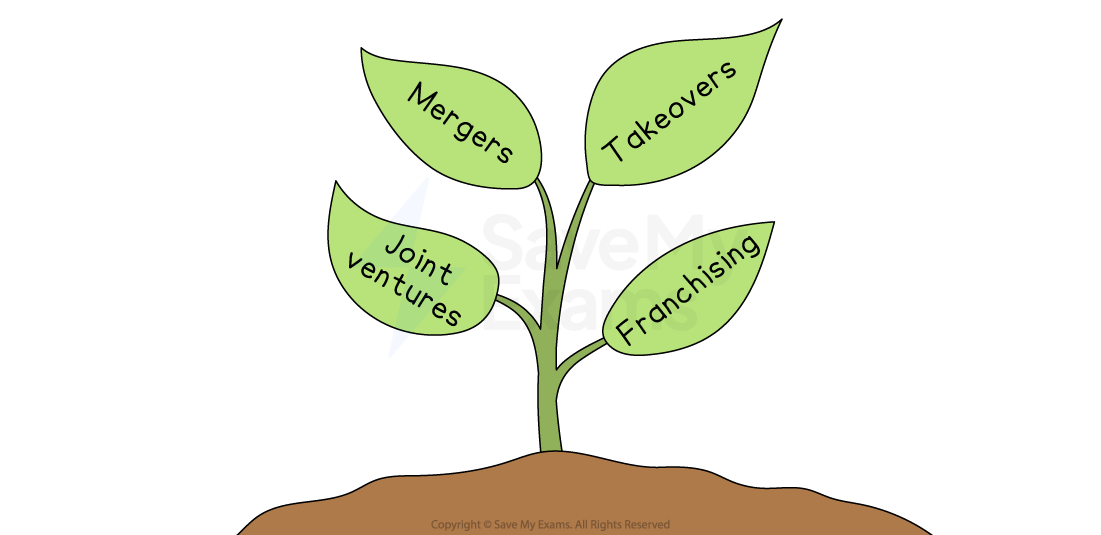 Illustration of a plant with four green leaves labeled "Mergers," "Takeovers," "Joint ventures," and "Franchising," symbolising business growth strategies.