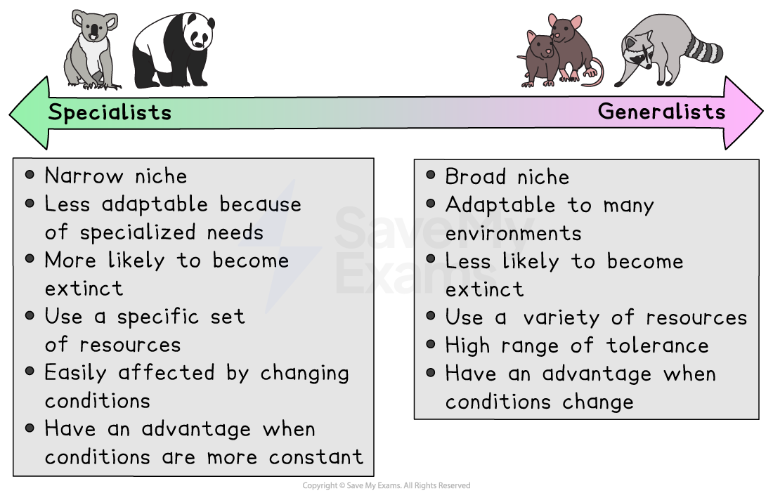 Diagram comparing specialists and generalists with lists detailing niche, adaptability, extinction risk, resource use, and response to change.