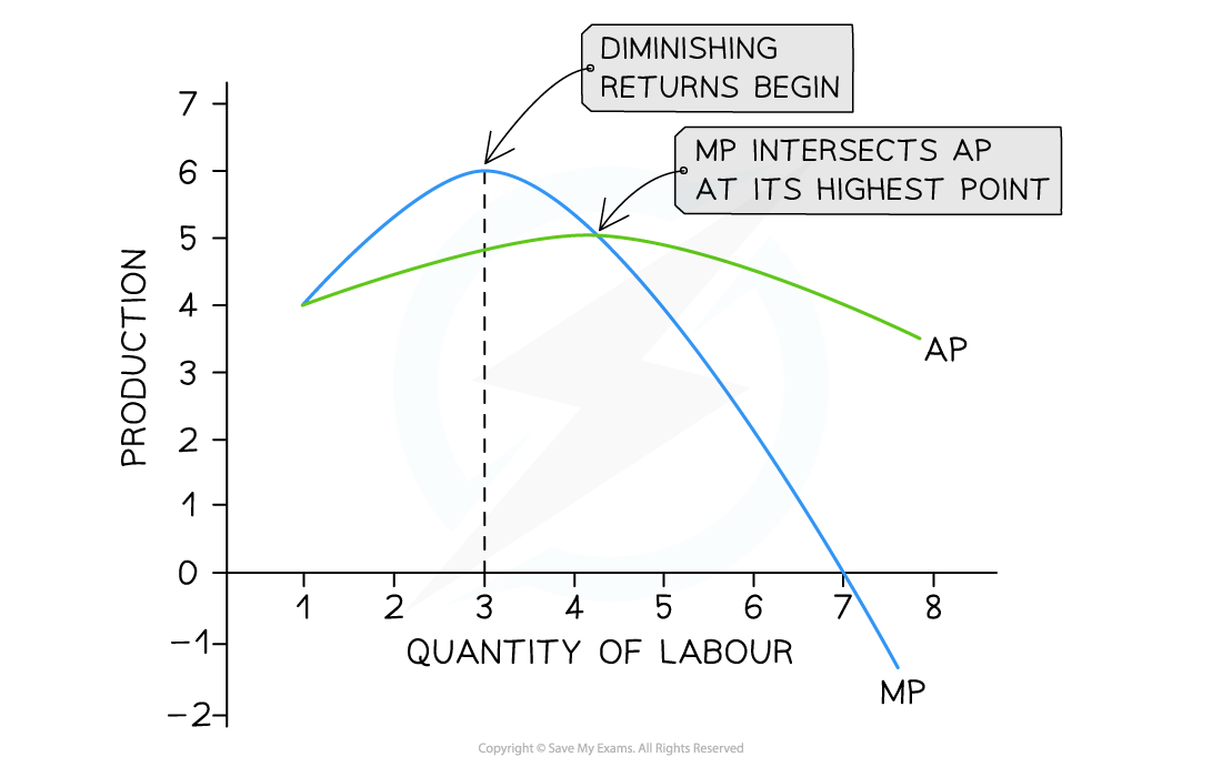 Graph showing production against quantity of labour; AP and MP curves intersect, marking the start of diminishing returns at peak production.