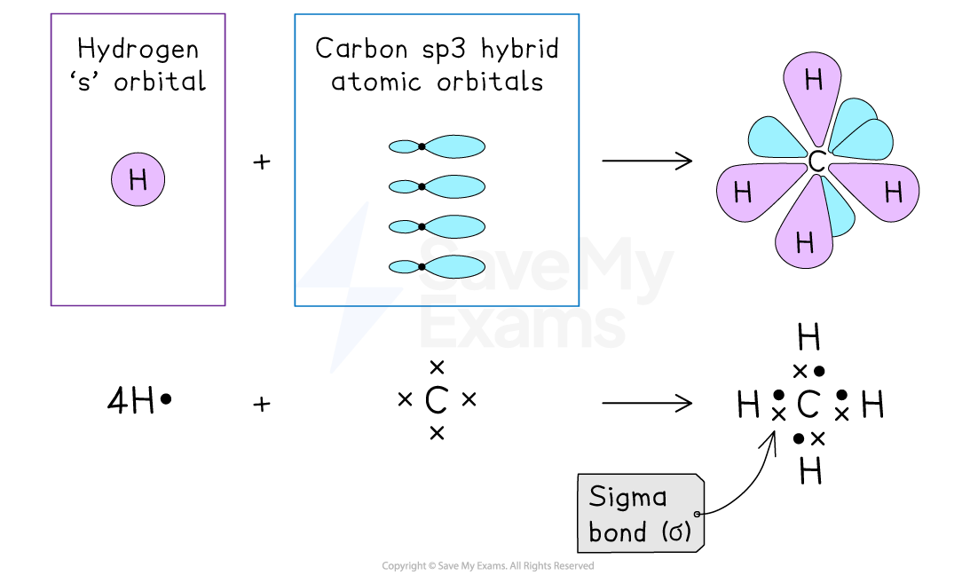 Diagram illustrating carbon sp3 hybridisation with hydrogen 's' orbitals forming methane. Shows orbital overlap, tetrahedral structure, and sigma bond.