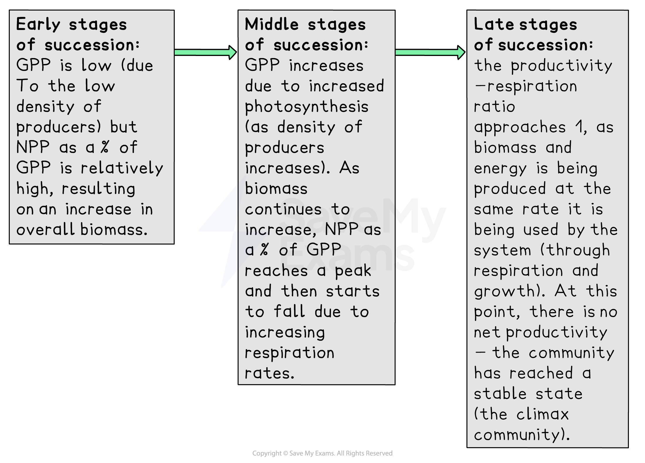 Flowchart showing ecological succession stages. Early: Low GPP, high NPP. Middle: Increased GPP, peak NPP. Late: Productivity equals respiration, stable state.