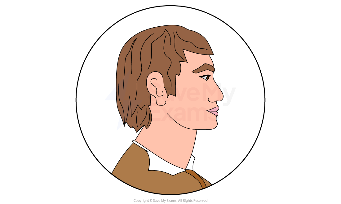 Illustration of a man in profile with brown hair and a brown jacket against a white background enclosed in a circle.