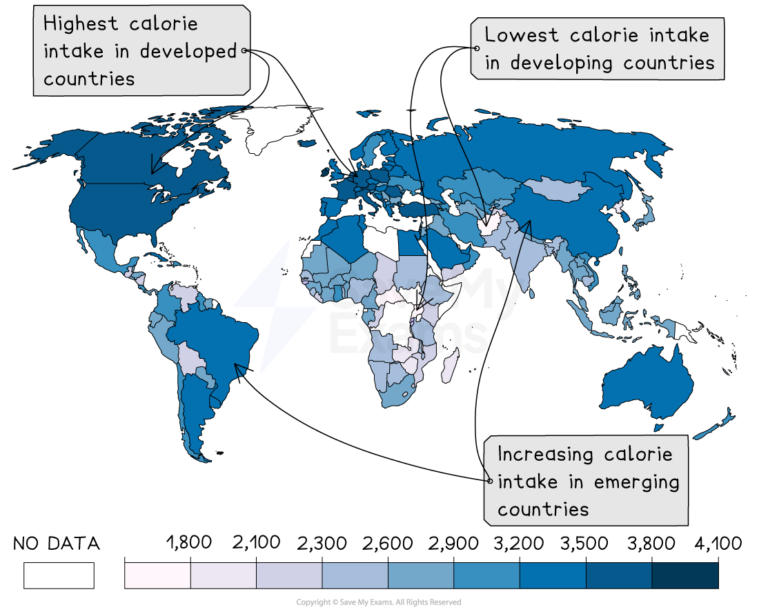World map showing calorie intake; dark blue indicates highest in developed countries, light blue for lowest in developing, mid blue shows emerging countries.