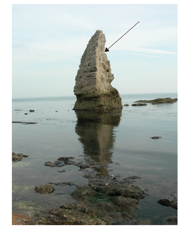 Tall rock formation in the sea reflecting on calm water with an arrow pointing to its midsection under a clear sky; some rocks visible in the foreground.