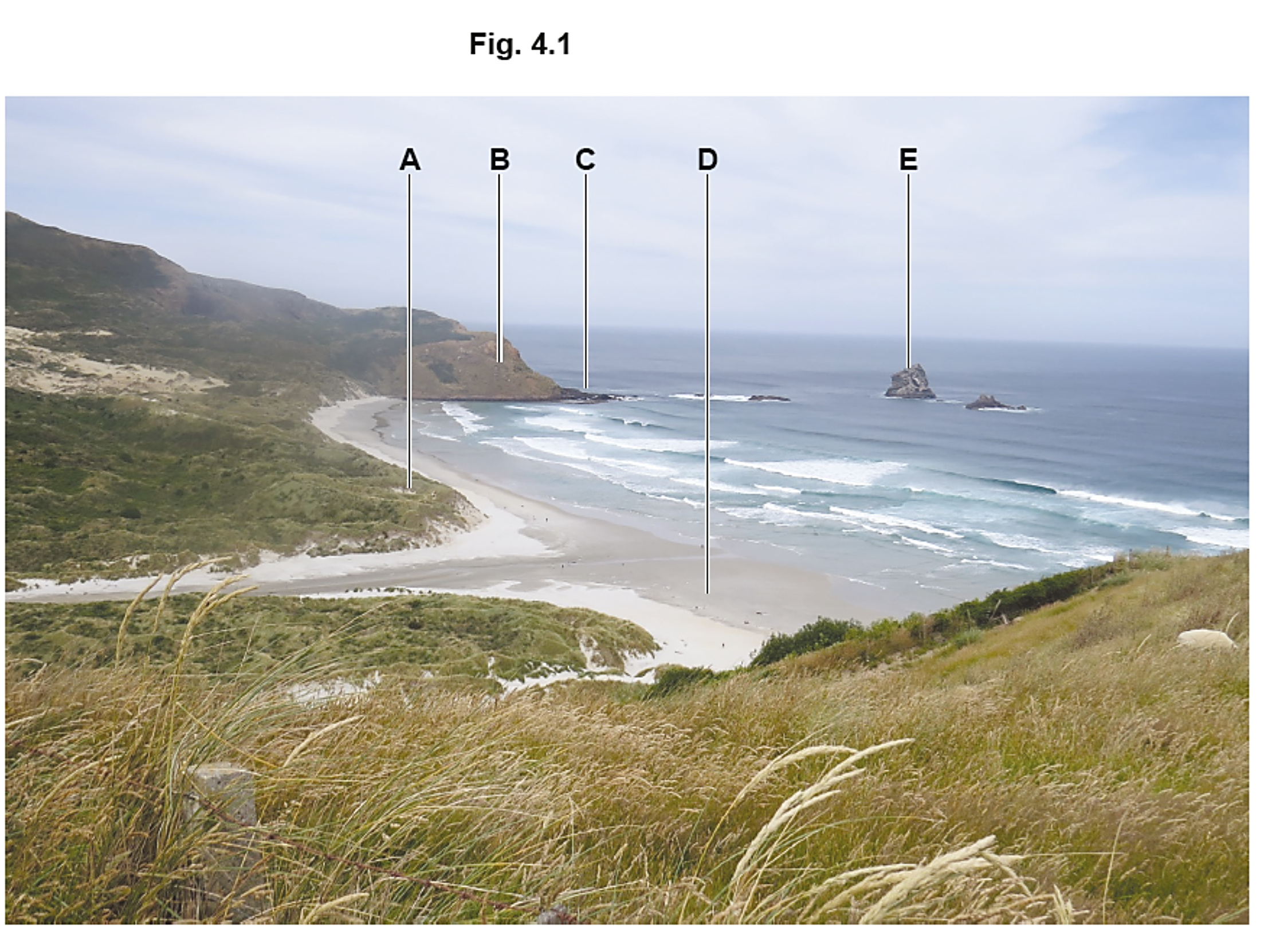 Coastal landscape with grassy dunes in foreground, sandy beach, rocky headlands labelled A-E, and ocean with waves under a lightly cloudy sky.