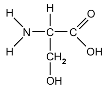Chemical structure of serine, showing carbon, hydrogen, nitrogen, and oxygen bonds. Key elements include amino and hydroxyl groups.