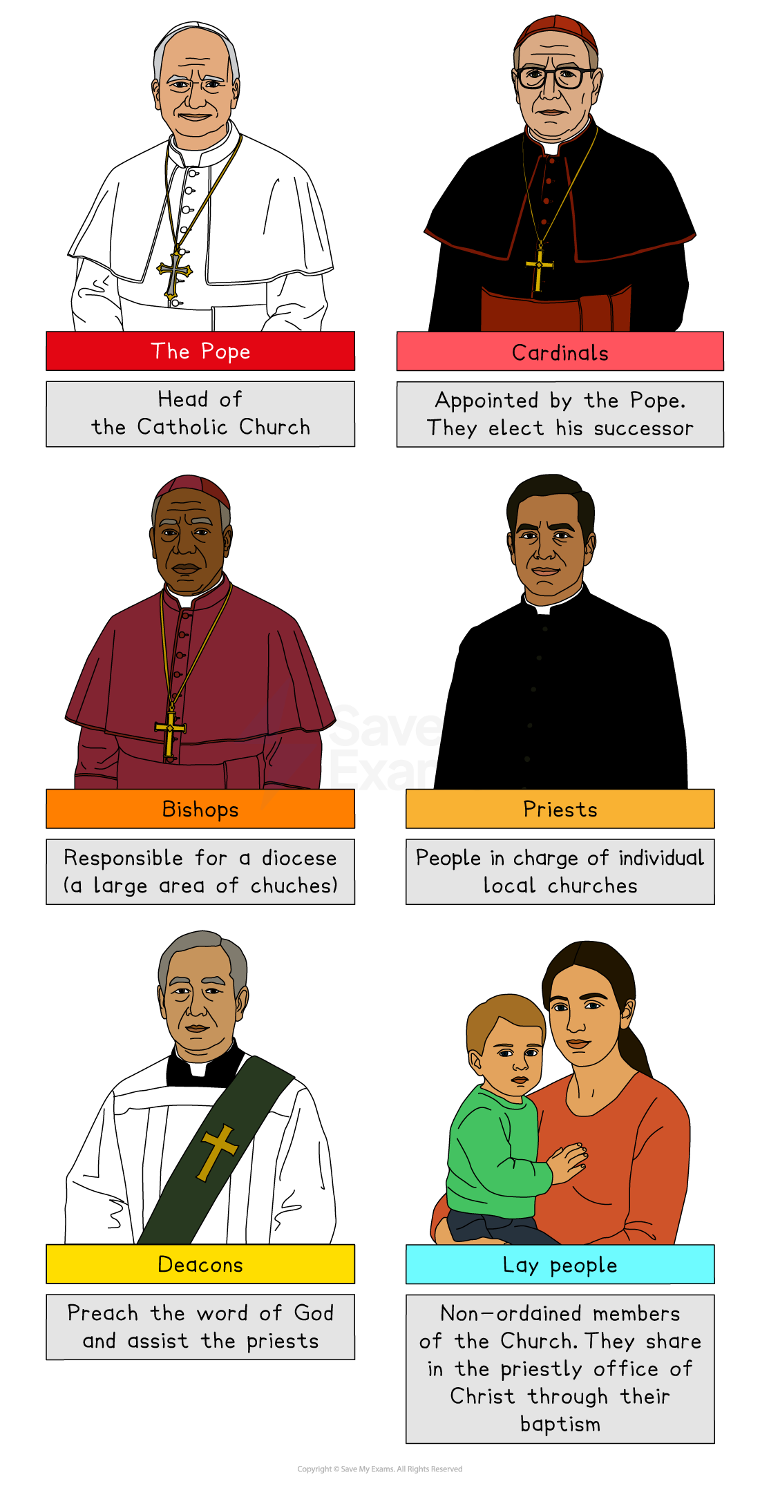 Illustration showing roles in the Catholic Church: Pope, Cardinals, Bishops, Priests, Deacons, and Lay people with brief descriptions of duties.