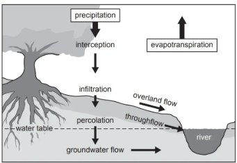 Diagram of the water cycle showing processes like precipitation, interception, infiltration, percolation, overland flow, and evapotranspiration near a river.