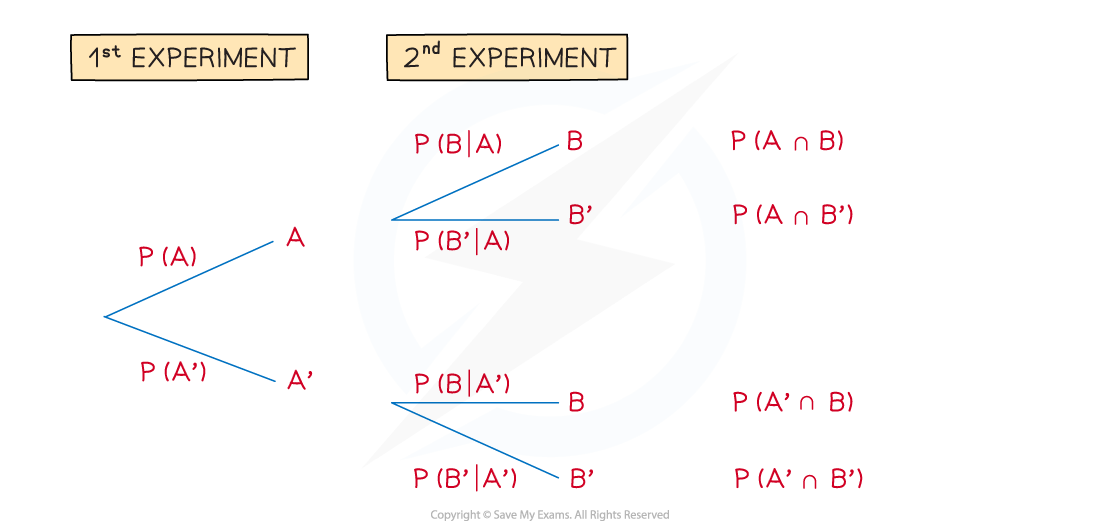 Probability tree diagram showing two experiments with branches for events and probabilities. P(A) and P(A') are labelled along the first set of branches, and P(B|A), P(B'|A), P(B|A') and P(B'|A') are labelled along the second set of branches. Final combined probabilities P(A∩B), P(A∩B'), P(A'∩B) and P(A'∩B') are indicated at the far right.