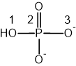 Diagram of a HPO4 2- ion showing phosphorus bonded to four oxygen atoms, with one having a hydroxyl group, labelled with numbers 1 to 3.