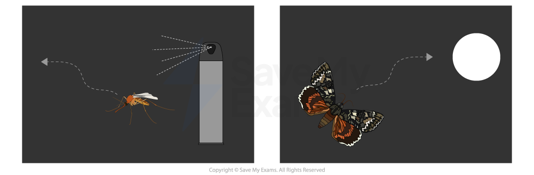 Diagram showing a mosquito moving away from an aerosol spray on the left, and a moth flying towards a white light on the right.