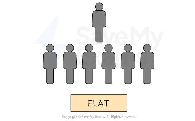 Diagram of a flat organisational structure with one leader and seven direct subordinates, labelled "FLAT" below.