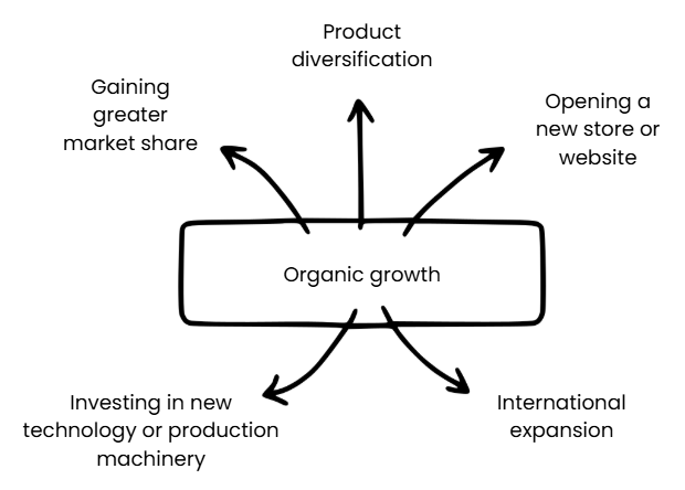 Diagram showing organic growth strategies: product diversification, gaining market share, new store, international expansion, and technology investment.