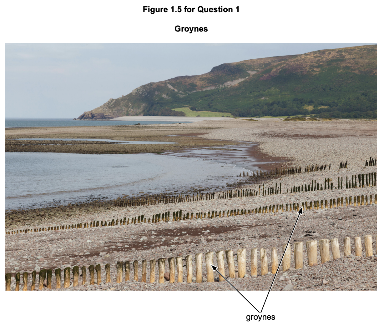 Image showing wooden groynes on a beach.