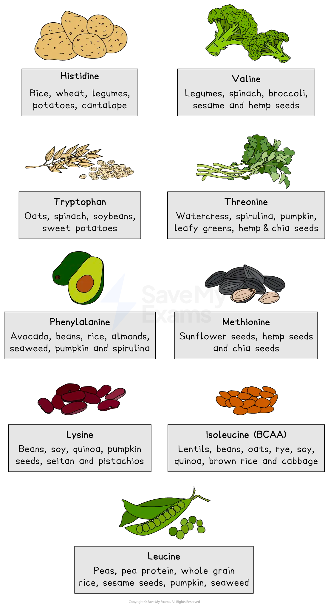 essential-amino-acids-sources