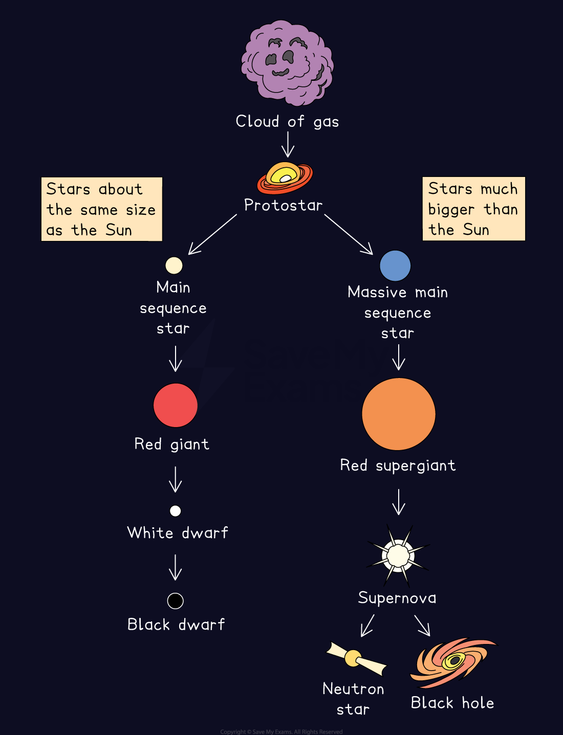 Flowchart showing star life cycle: gas cloud becomes protostar, then main sequence star. The paths then split, demonstrating that a star about the same size as the Sun will become a red giant, white dwarf, and black dwarf. A star much bigger than the Sun will become a red supergiant, supernova, and either a neutron star or a black hole.