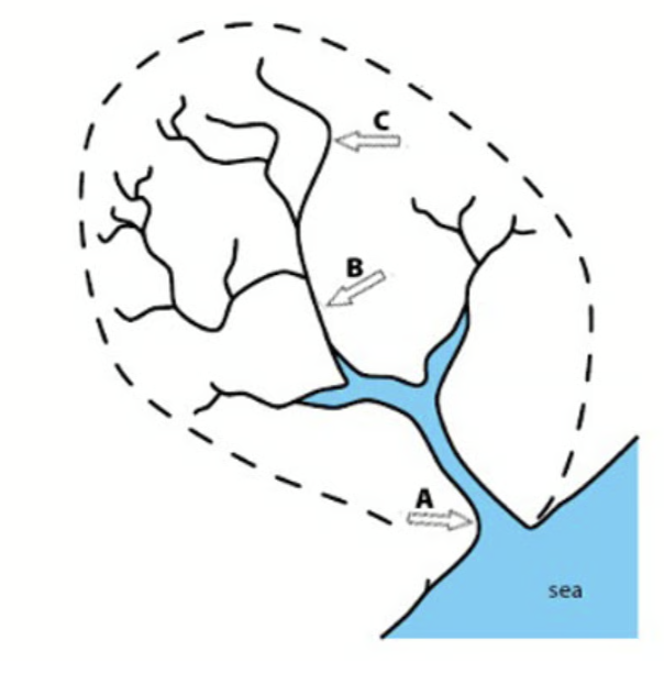 Diagram showing a river delta with branching waterways labelled A, B, and C, flowing into the sea, surrounded by a dashed boundary.