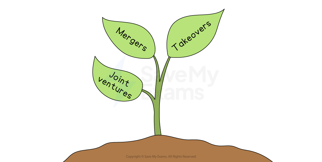 Illustration of a plant with three leaves labelled "Mergers," "Takeovers," and "Joint ventures" growing from soil, symbolising business growth.