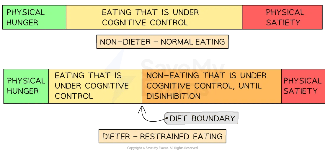 Diagram comparing non-dieter normal eating with dieter restrained eating, highlighting cognitive control, physical hunger, and satiety.