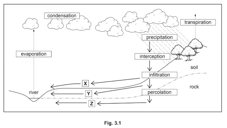 Flowchart depicting the water cycle, including evaporation, condensation, precipitation, infiltration, and pathways X, Y, and Z affecting a river.
