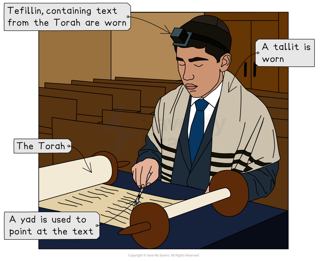 Man wearing tefillin and tallit reads Torah with yad in a synagogue. Labels identify tefillin, tallit, Torah, and yad.