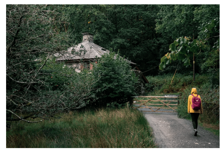 Person in a yellow raincoat walks on a path toward a rustic cottage surrounded by dense green forest. A wooden gate stands ahead.