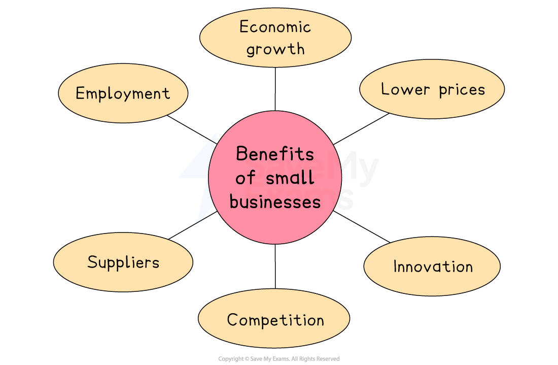 Diagram showing benefits of small businesses: economic growth, lower prices, innovation, competition, suppliers, and employment, connected to a central idea.