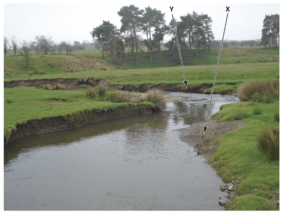 A meandering stream in a grassy landscape with eroded banks and trees in the background, arrows pointing to features marked X and Y.