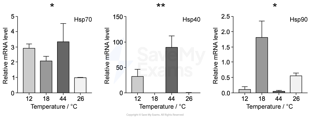Bar charts showing relative mRNA levels of Hsp70, Hsp40, and Hsp90 at temperatures 12°C, 18°C, 44°C, and 26°C, with significant differences marked.