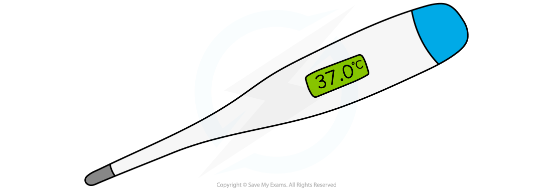 Digital thermometer displaying 37.0 degrees Celsius, with a blue tip and grey sensor end, on a white background.