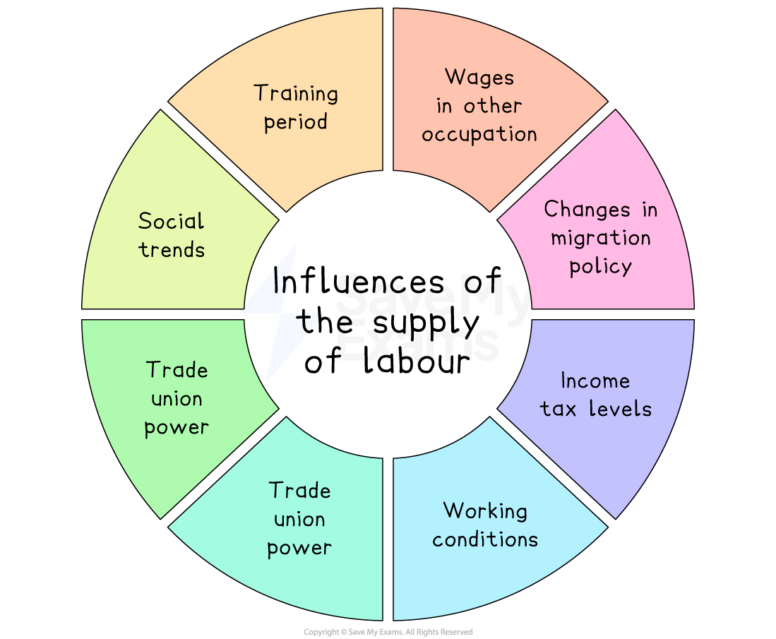 Chart showing factors influencing the labour supply: training, wages, migration policy, tax levels, working conditions, union power, and social trends.