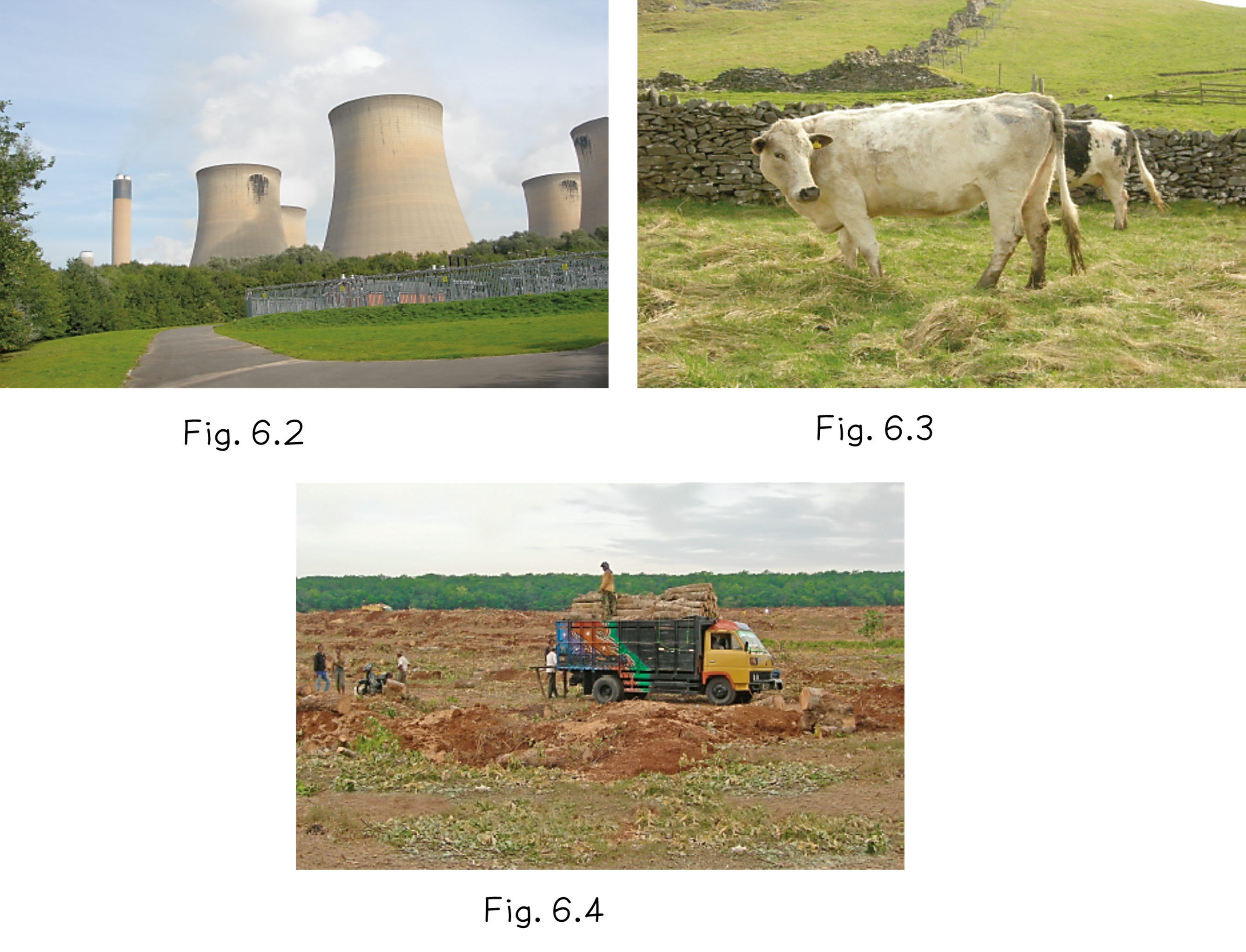 Power station, grazing cattle and deforestation