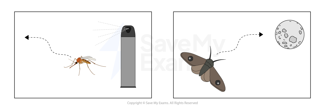 Diagram showing a mosquito moving away from an aerosol spray on the left, and a moth flying towards a white light on the right.