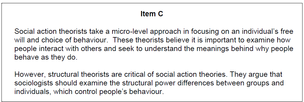 Text discussing social action theorists' focus on individual behaviour, contrast with structural theorists' emphasis on group power dynamics.